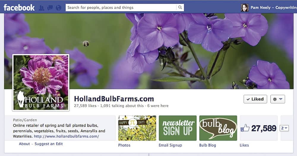 Mailingliste erstellen: Beispiel Newsletter-Anmeldung in Facebook