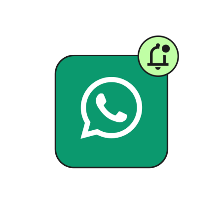 WhatsApp-Kampagnen