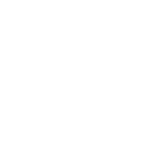 Reviewflowz Icon Light