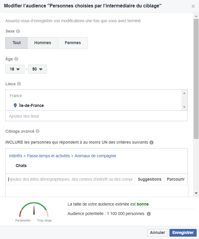 Trouvez plus de nouveaux contacts en rétrécissant votre audience. Newsletter Facebook : créer une audience personnalisée