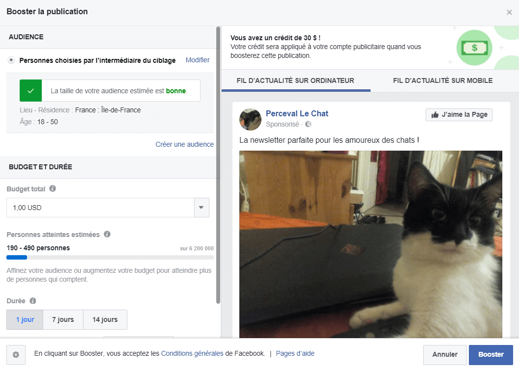 Le tableau de bord pour booster des publications Facebook. Newsletter Facebook : comment booster un post.