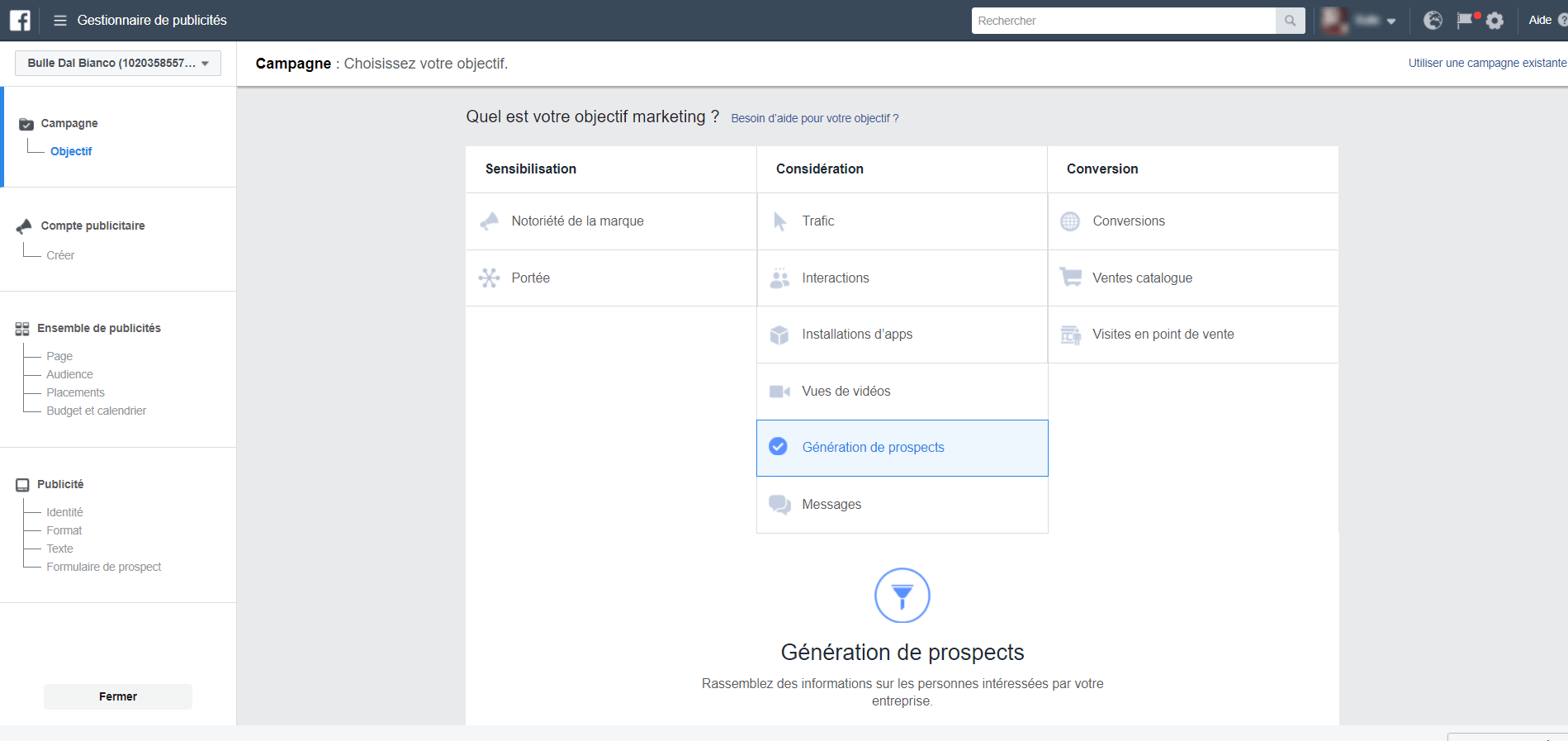 Pour créer un formulaire directement sur Facebook, sélectionnez "génération de prospects" Newsletter Facebook : Sélection d'un type de publicité
