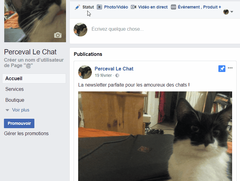 Pour convaincre vos fans, choisissez un format de post adapté.