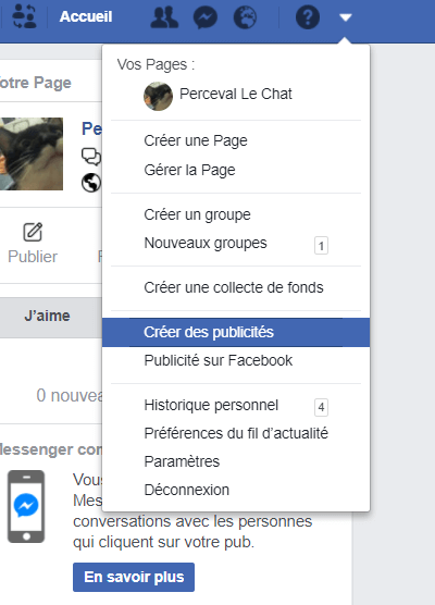 L'accès à la page de création de publicités de fait en haut à droite de l'écran Newsletter Facebook : comment créer une publicité de génération de prospects