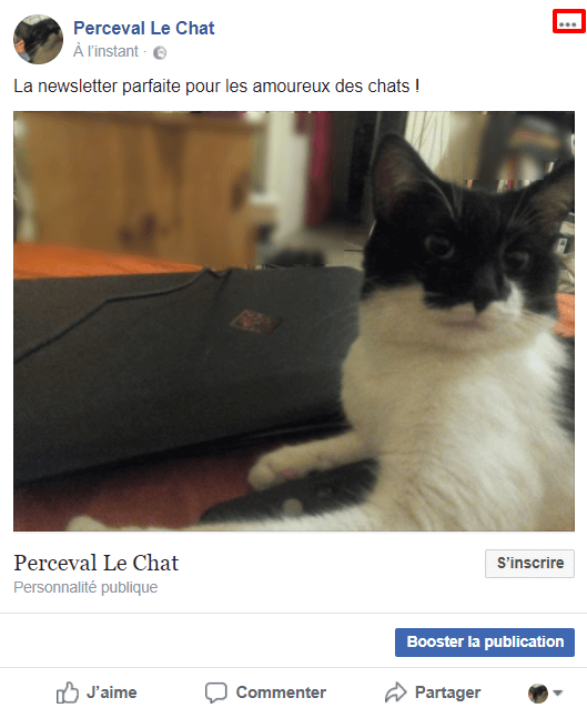 En cliquant sur le bouton souligné en rouge, vous pouvez épingler ce post./ Newsletter Facebook : un post de promotion de newslettter