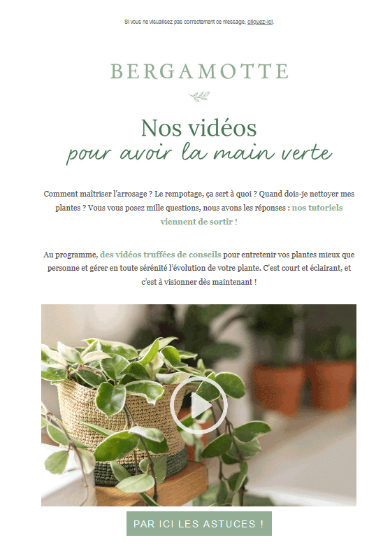 Code couleur marketing - vert