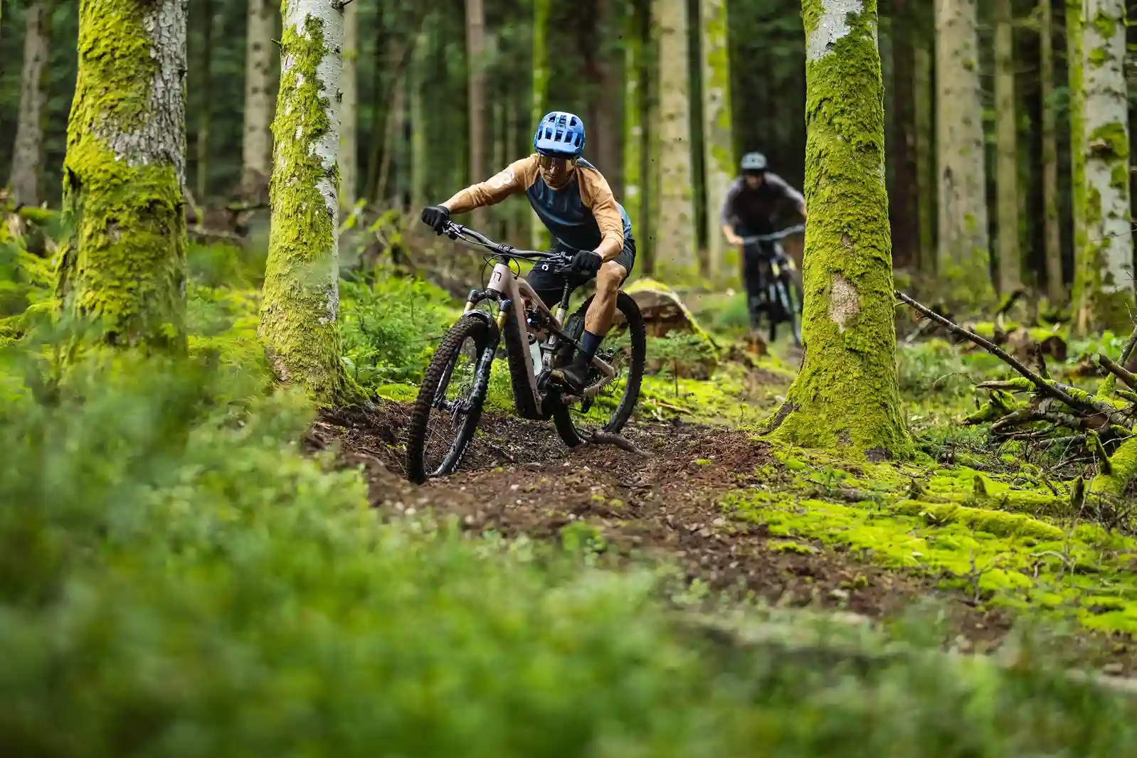 Les enjeux d'un modèle de distribution indirect