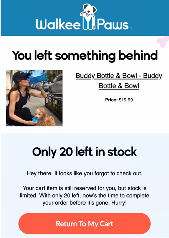 cart recovery template examples