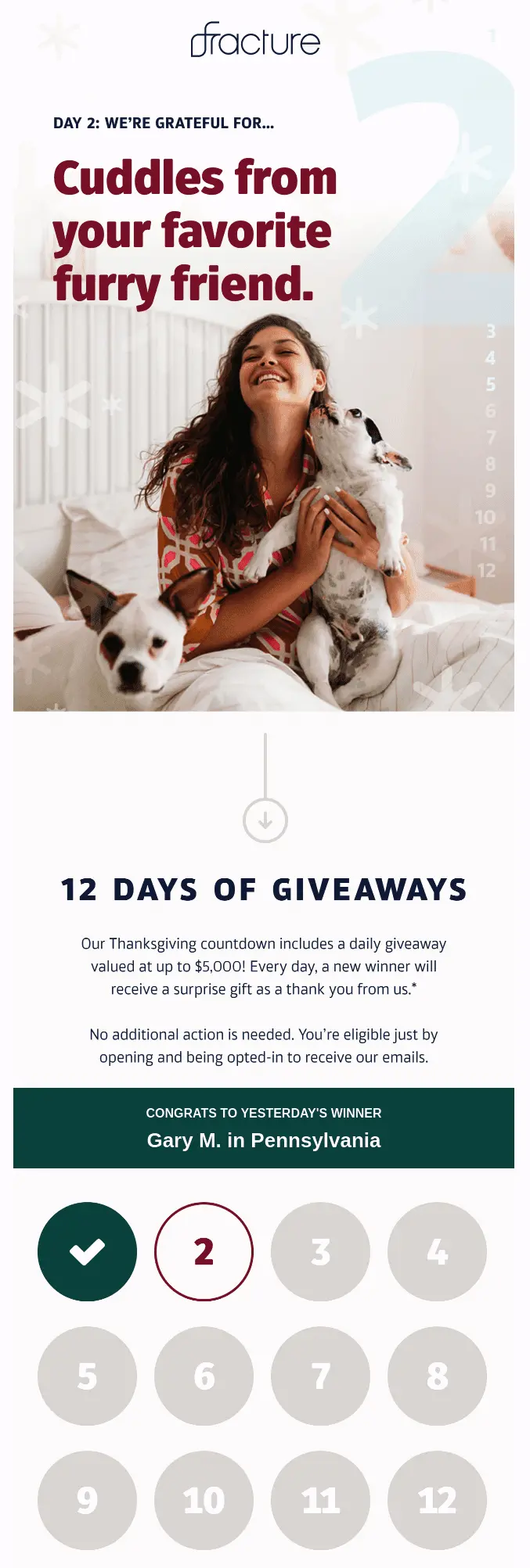 Holiday marketing email marketing campaign that shows a girl holding a puppy and 12 circles that represent 12 days of prizes.