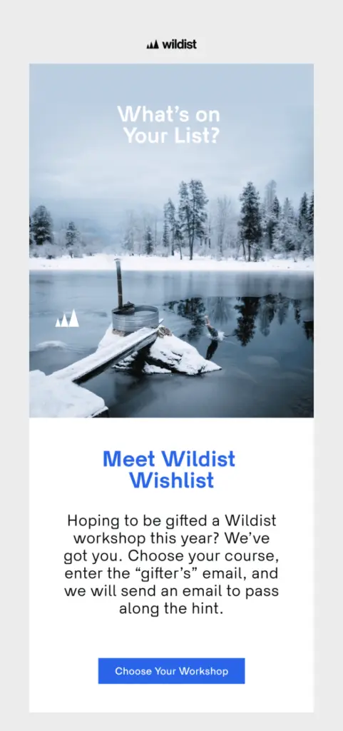 Christmas email example by wildist