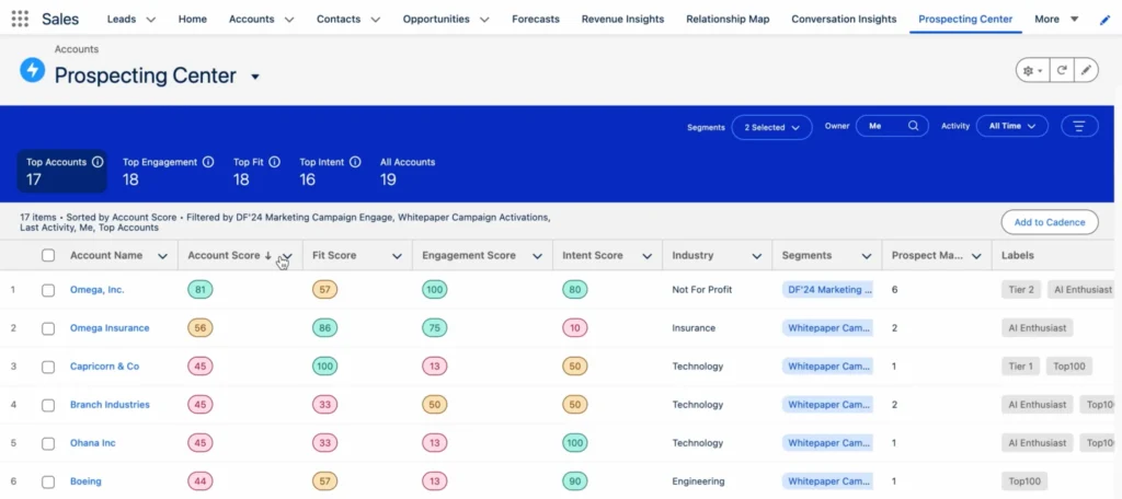 Salesforce CRM interface